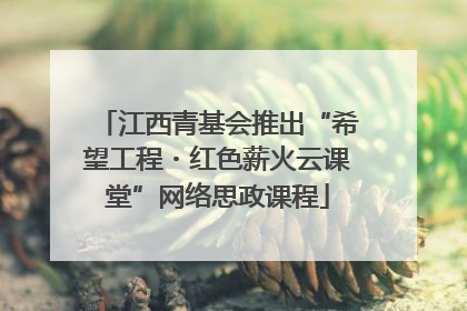 江西青基会推出“希望工程・红色薪火云课堂”网络思政课程