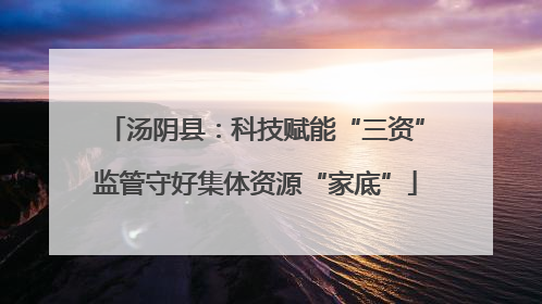 汤阴县：科技赋能“三资”监管守好集体资源“家底”