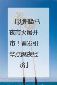 沈阳歇马夜市火爆开市！首发引擎点燃夜经济