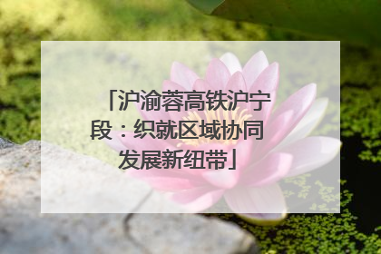 沪渝蓉高铁沪宁段：织就区域协同发展新纽带