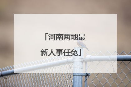 河南两地最新人事任免