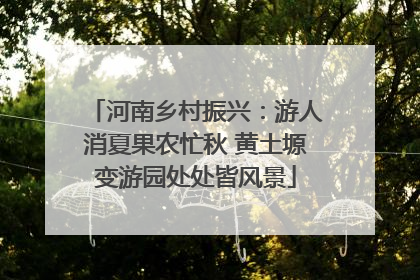 河南乡村振兴：游人消夏果农忙秋 黄土塬变游园处处皆风景