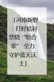 河南新野：打好秸秆禁烧“组合拳” 全力守护蓝天沃土