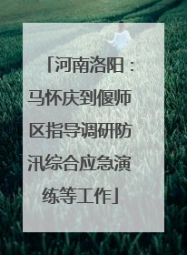 河南洛阳：马怀庆到偃师区指导调研防汛综合应急演练等工作