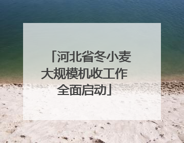 河北省冬小麦大规模机收工作全面启动