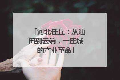 河北任丘：从油田到云端，一座城的产业革命