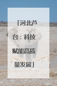 河北芦台：科技赋能高质量发展