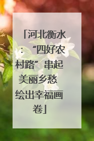 河北衡水：“四好农村路”串起美丽乡愁 绘出幸福画卷