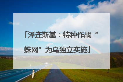 泽连斯基：特种作战“蛛网”为乌独立实施