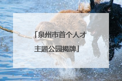 泉州市首个人才主题公园揭牌