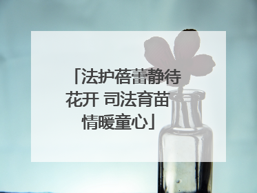 法护蓓蕾静待花开 司法育苗情暖童心