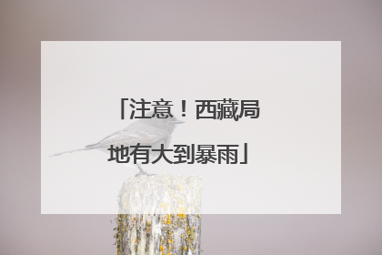 注意！西藏局地有大到暴雨