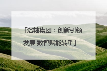 洛轴集团：创新引领发展 数智赋能转型
