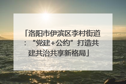 洛阳市伊滨区李村街道：“党建+公约”打造共建共治共享新格局
