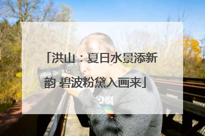 洪山：夏日水景添新韵 碧波粉黛入画来
