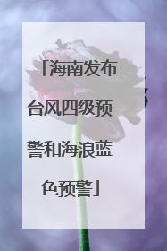 海南发布台风四级预警和海浪蓝色预警