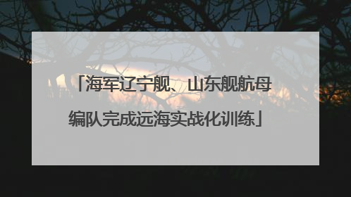 海军辽宁舰、山东舰航母编队完成远海实战化训练