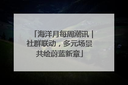 海洋月每周潮讯｜社群联动，多元场景共绘蔚蓝新章