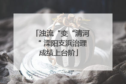 浊流“变“清河“ 溧阳支浜治理成绩上台阶