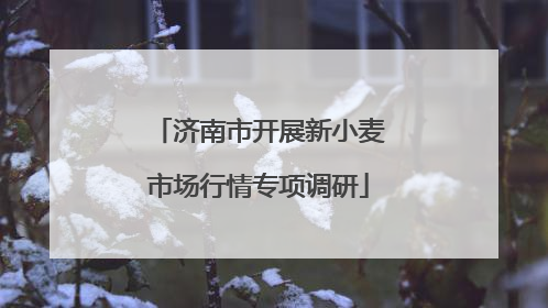 济南市开展新小麦市场行情专项调研
