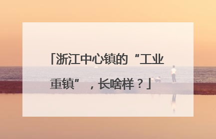 浙江中心镇的“工业重镇”，长啥样？
