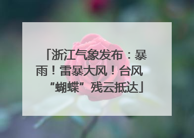 浙江气象发布：暴雨！雷暴大风！台风“蝴蝶”残云抵达