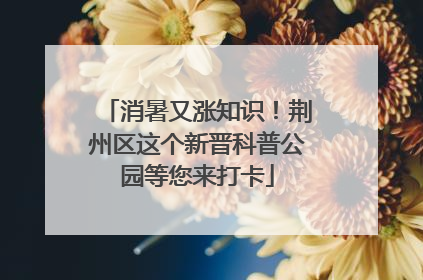 消暑又涨知识！荆州区这个新晋科普公园等您来打卡