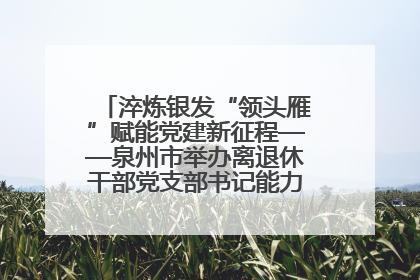 淬炼银发“领头雁”赋能党建新征程——泉州市举办离退休干部党支部书记能力建设专题培训