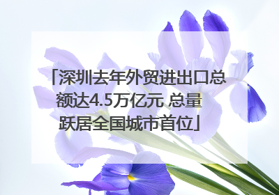 深圳去年外贸进出口总额达4.5万亿元 总量跃居全国城市首位