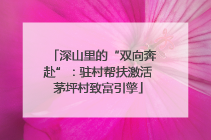 深山里的“双向奔赴”：驻村帮扶激活茅坪村致富引擎