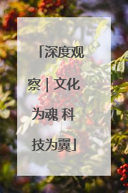 深度观察｜文化为魂 科技为翼