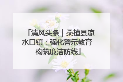 清风头条｜桑植县凉水口镇：强化警示教育 构筑廉洁防线