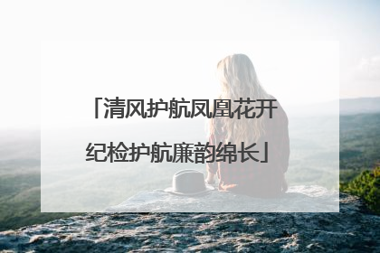 清风护航凤凰花开 纪检护航廉韵绵长