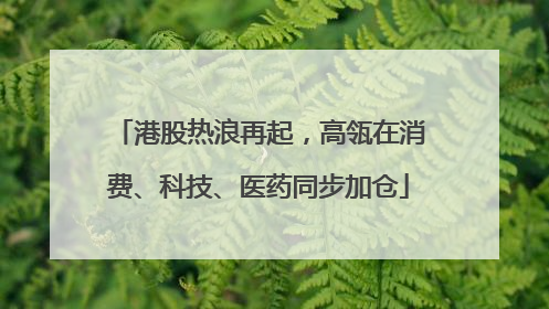 港股热浪再起，高瓴在消费、科技、医药同步加仓