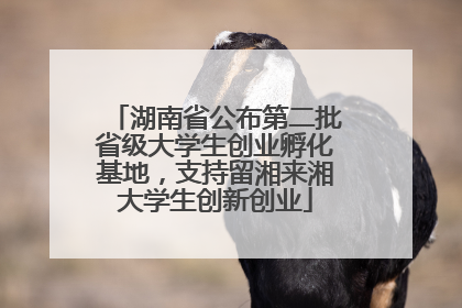 湖南省公布第二批省级大学生创业孵化基地，支持留湘来湘大学生创新创业
