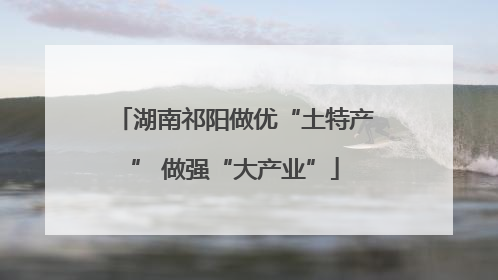 湖南祁阳做优“土特产” 做强“大产业”