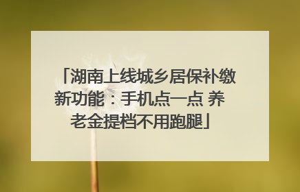 湖南上线城乡居保补缴新功能：手机点一点 养老金提档不用跑腿