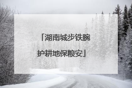 湖南城步铁腕护耕地保粮安