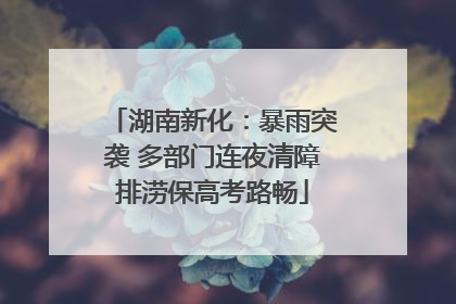 湖南新化：暴雨突袭 多部门连夜清障排涝保高考路畅