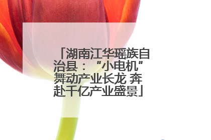湖南江华瑶族自治县：“小电机”舞动产业长龙 奔赴千亿产业盛景
