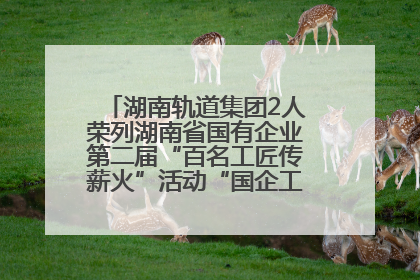 湖南轨道集团2人荣列湖南省国有企业第二届“百名工匠传薪火”活动“国企工匠”人才宣传名单