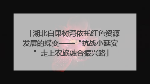 湖北白果树湾依托红色资源发展的蝶变——“抗战小延安”走上农旅融合振兴路