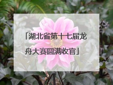 湖北省第十七届龙舟大赛圆满收官