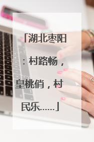 湖北枣阳：村路畅，皇桃俏，村民乐……