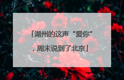 湖州的这声“爱你”，周末说到了北京