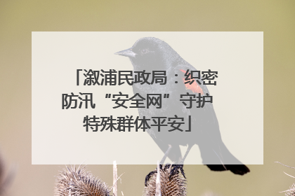 溆浦民政局：织密防汛“安全网”守护特殊群体平安