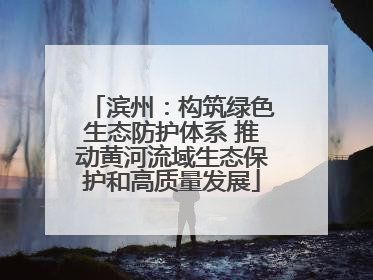滨州：构筑绿色生态防护体系 推动黄河流域生态保护和高质量发展