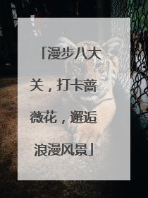 漫步八大关，打卡蔷薇花，邂逅浪漫风景