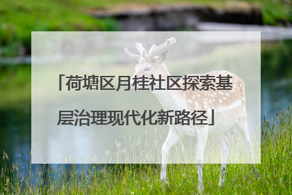 荷塘区月桂社区探索基层治理现代化新路径