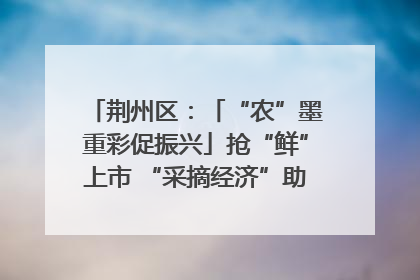 荆州区：「“农”墨重彩促振兴」抢“鲜”上市 “采摘经济”助农“甜蜜增收”